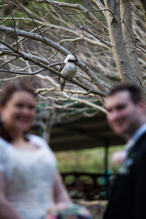 Cameron and Elizabeth's Panorama House Wedding