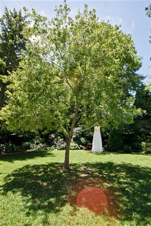 Scott and Bea's Leura Blue Mountains Wedding