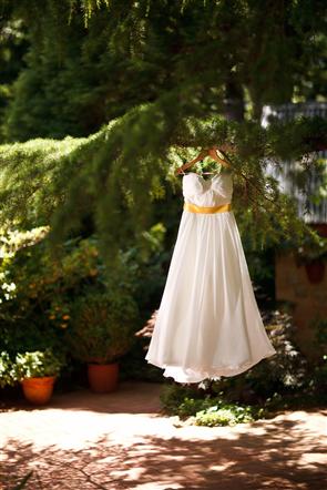 Scott and Bea's Leura Blue Mountains Wedding